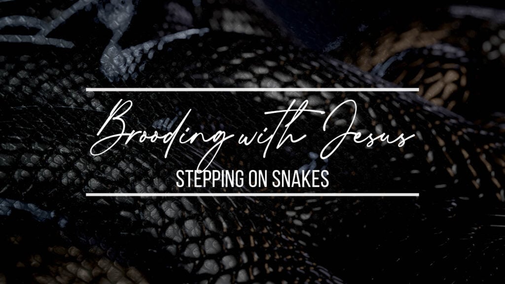 Stepping on Snakes