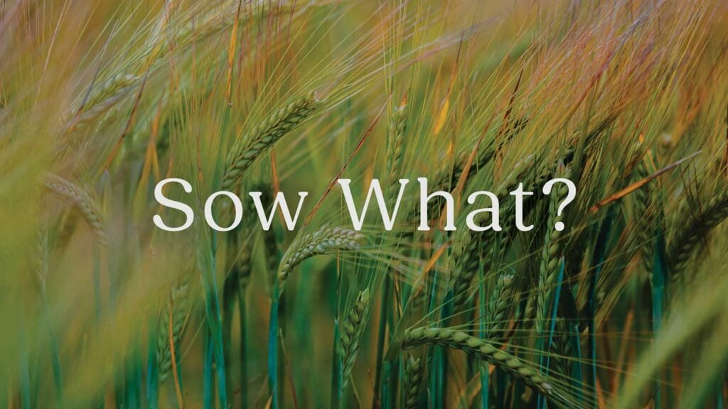 Sow What? episode artwork