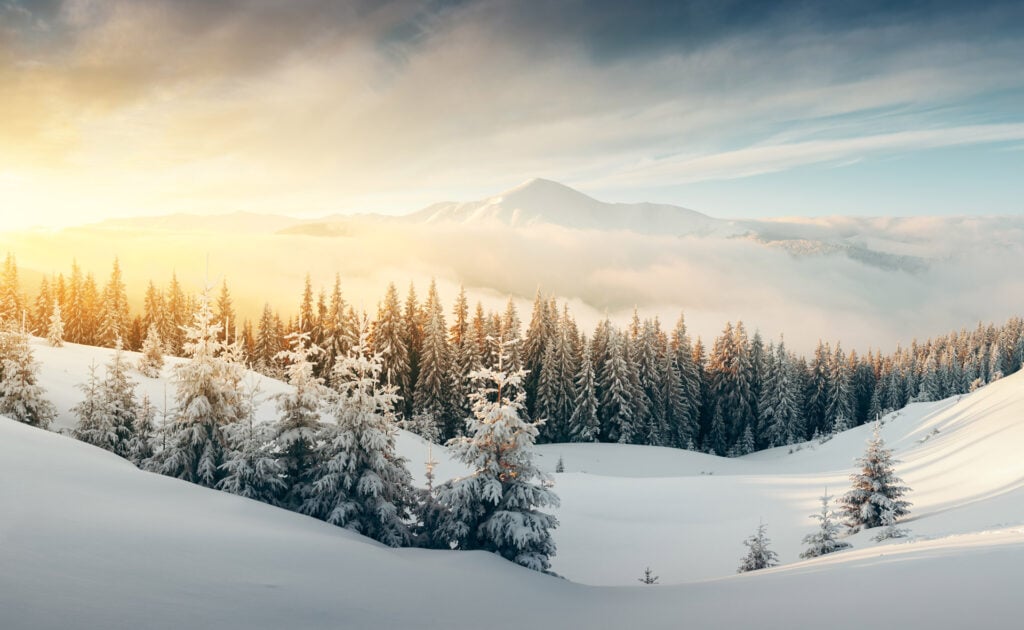 Words & Winter