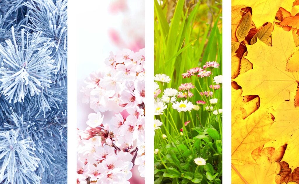 Seasons