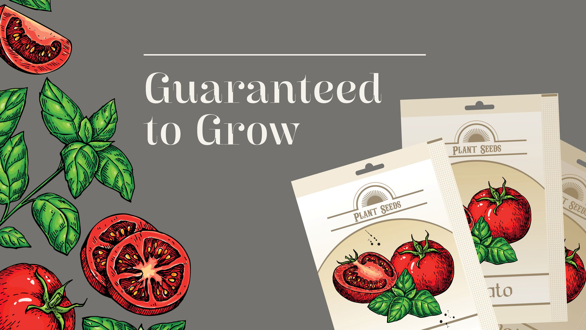 Guaranteed to Grow: Lessons from a Seed Packet