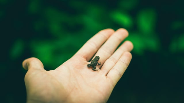 October 27, 2018 Sermon: “It’s Only a Small Thing”