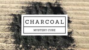 Charcoal: The Cure No One Wants You To Know About