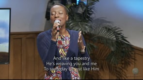 Trust His Heart (LIVE)