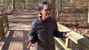 The Search for God’s Creation