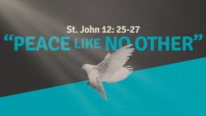 Peace Like No Other