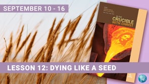 The Crucible Episode 12: Dying Like a Seed