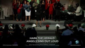 Hark the Herald Angels Sing (LIVE Performance)