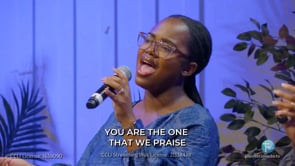 Wonderful, Merciful Savior  (LIVE Performance)