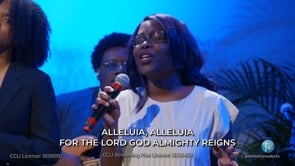 Agnus Dei (LIVE Performance)