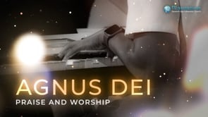 Agnus Dei (LIVE Performance)