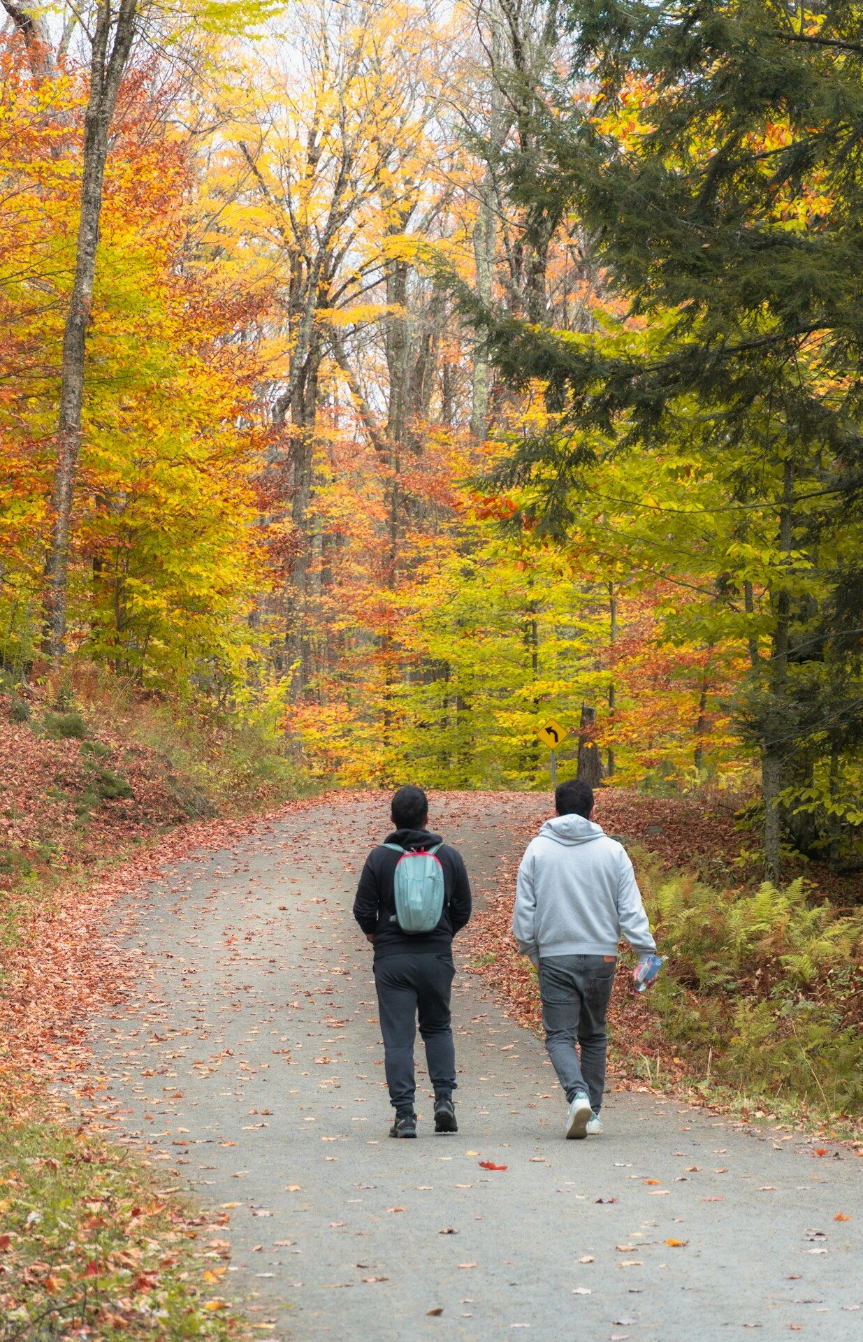Two people walking on a path through autumn forest