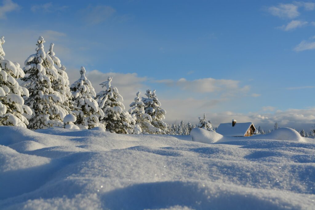 Winter Carnival