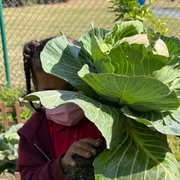 E is for Environment