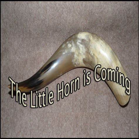 The Approaching of the little Horn