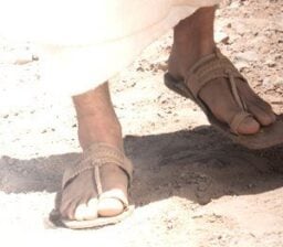 Covered in the Dust of Your Rabbi- Ron Rambo Jr.