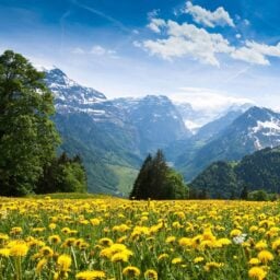 The Silence that Stiffles True Happiness- Elder Rambo