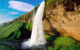 I Will Pour Out My Spirit- Elder Ron Rambo