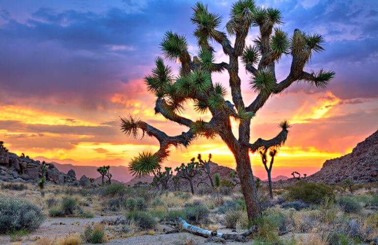 Southeastern California Conference