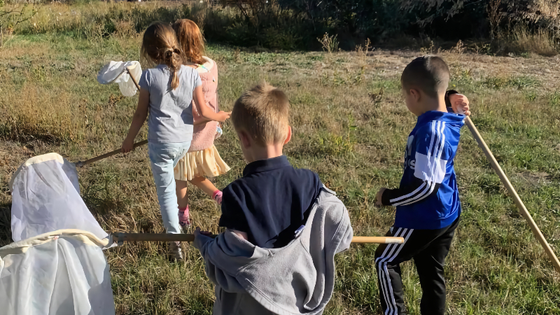 Thanksgiving Activities