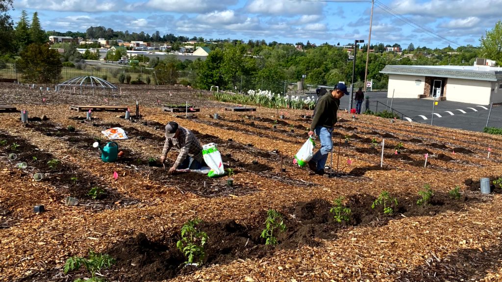 THE BULLETIN – June 9, 2023