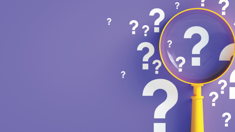 The Big  Question
