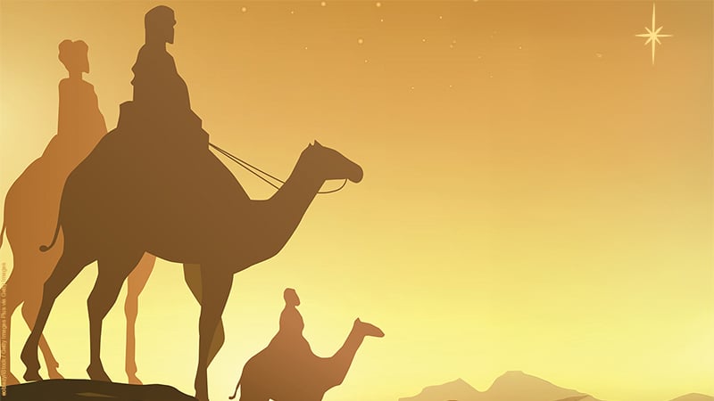 The Wiseman