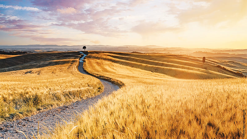 Finding Your Path