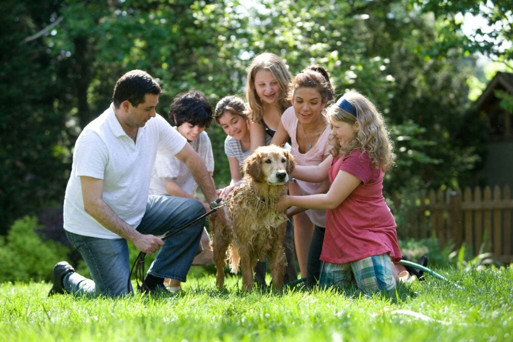 Family Life Ministries