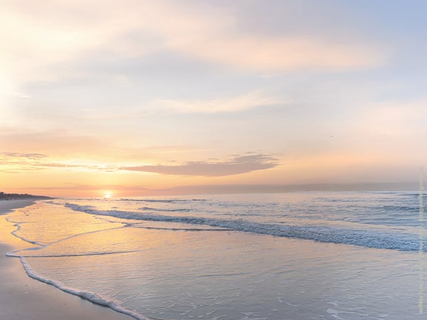 The Last Word: Find Your Beach