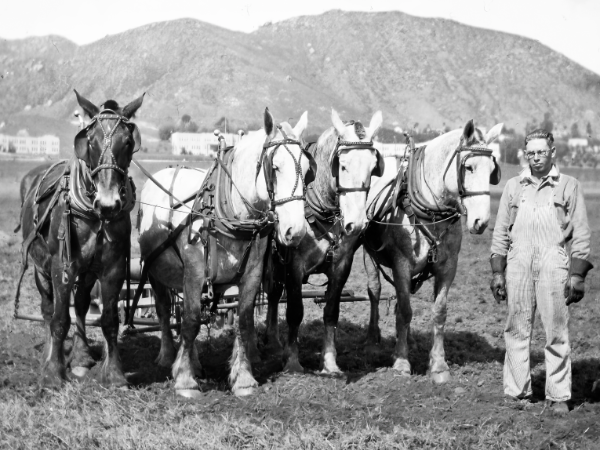 From Small Back Rooms to Becoming Part of the Largest Protestant Educational System – Part 2 