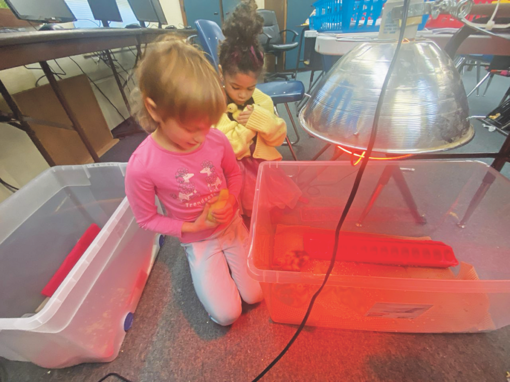 Growing Through Hands-On Learning
