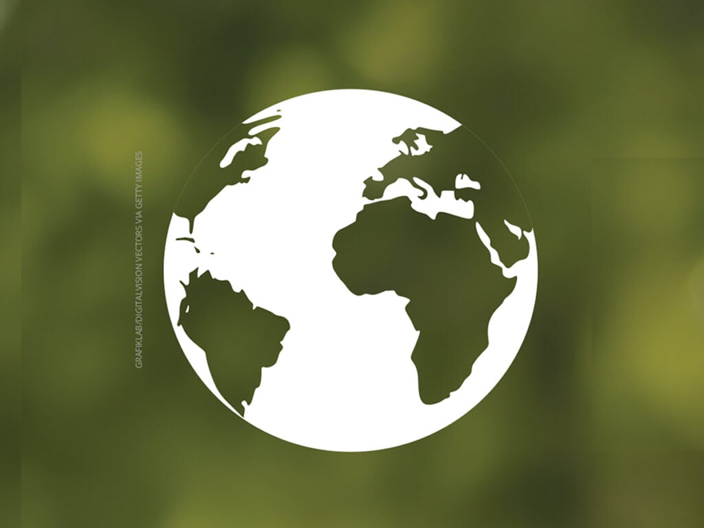 The New Earth
