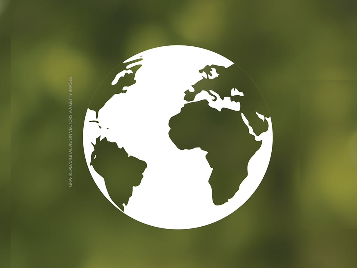 The New Earth