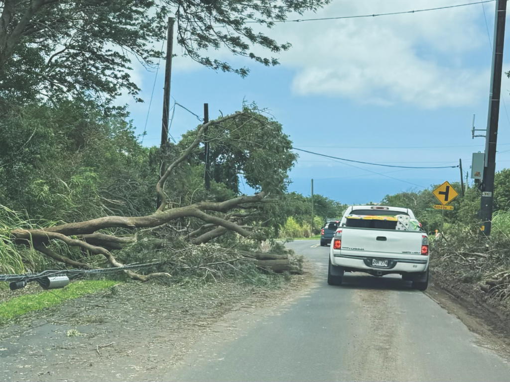 Hurricane Lala Recovery Efforts