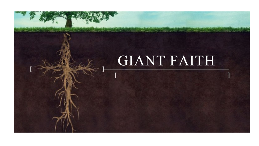 David Stephenson – Giant Faith