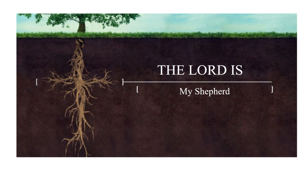 Pastor Robert Ferguson – If the Lord is My Shepherd