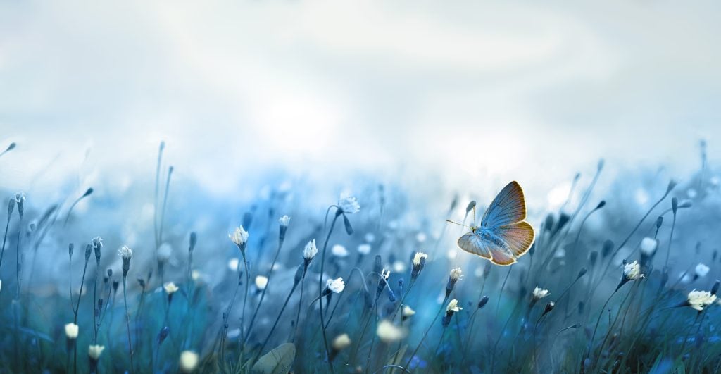What You Can Do When You Feel Like Self-Harming