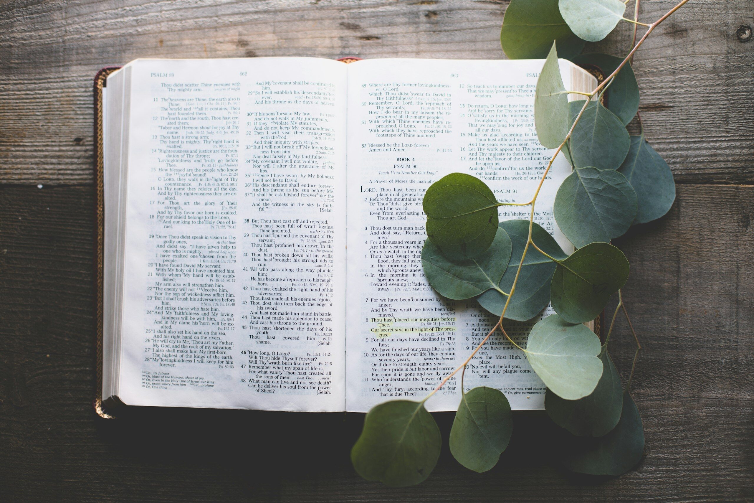 open bible with leaves on top