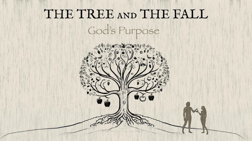 The Tree And The Fall – Pastor Vic