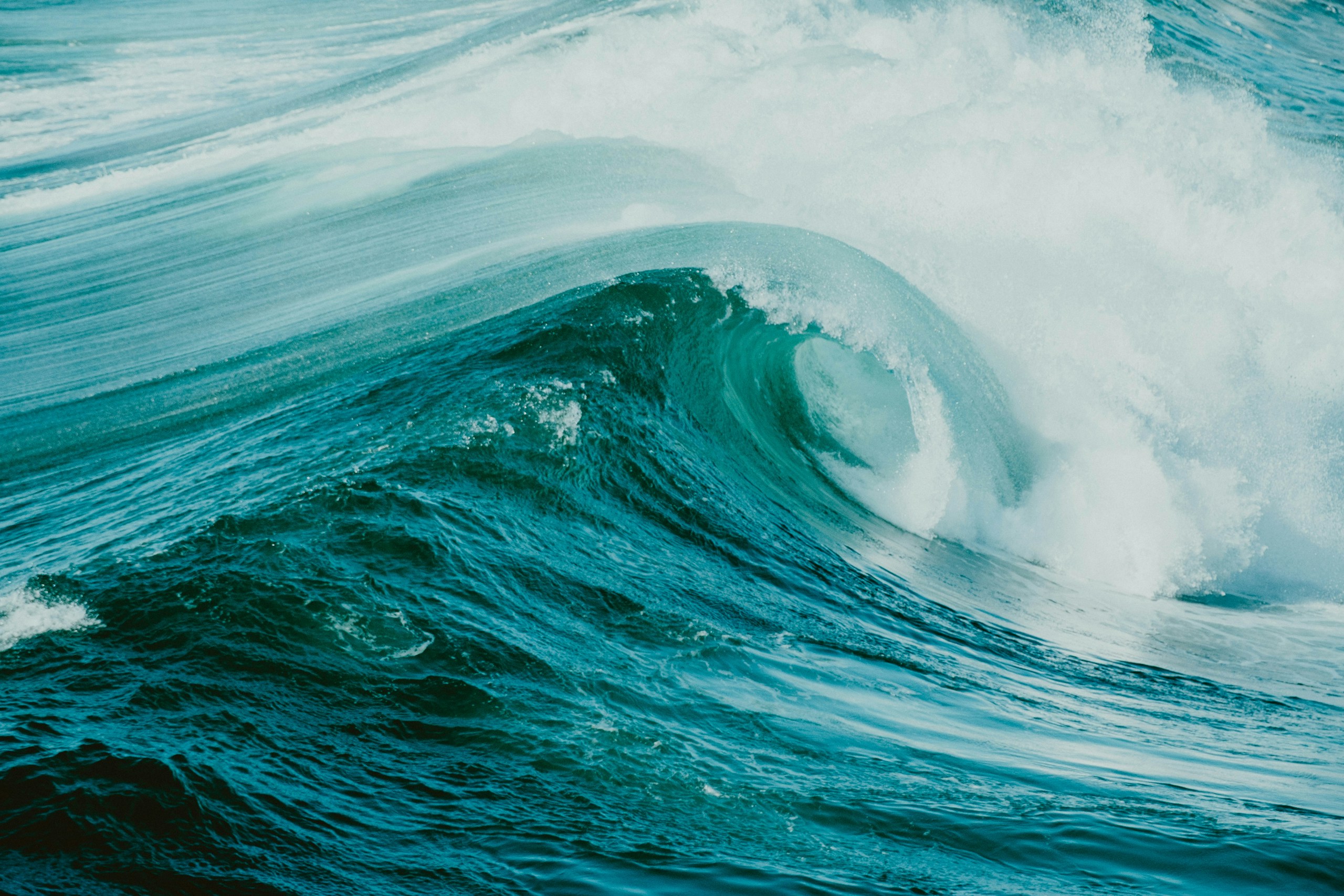 A large ocean wave crests and breaks