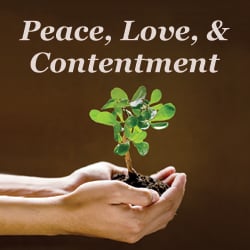 Discovering the keys for being content
