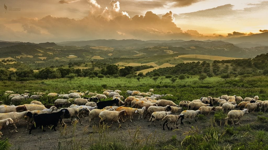 A Word To The Little Flock Part Twenty Seven