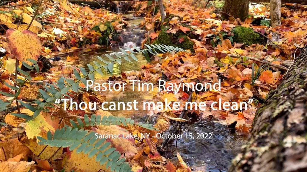 Thou canst make me clean