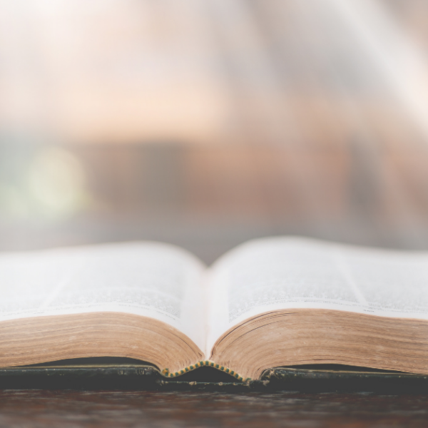 From Heaven’s Gift to Our Gratitude: A Legacy of Adventist Christmas