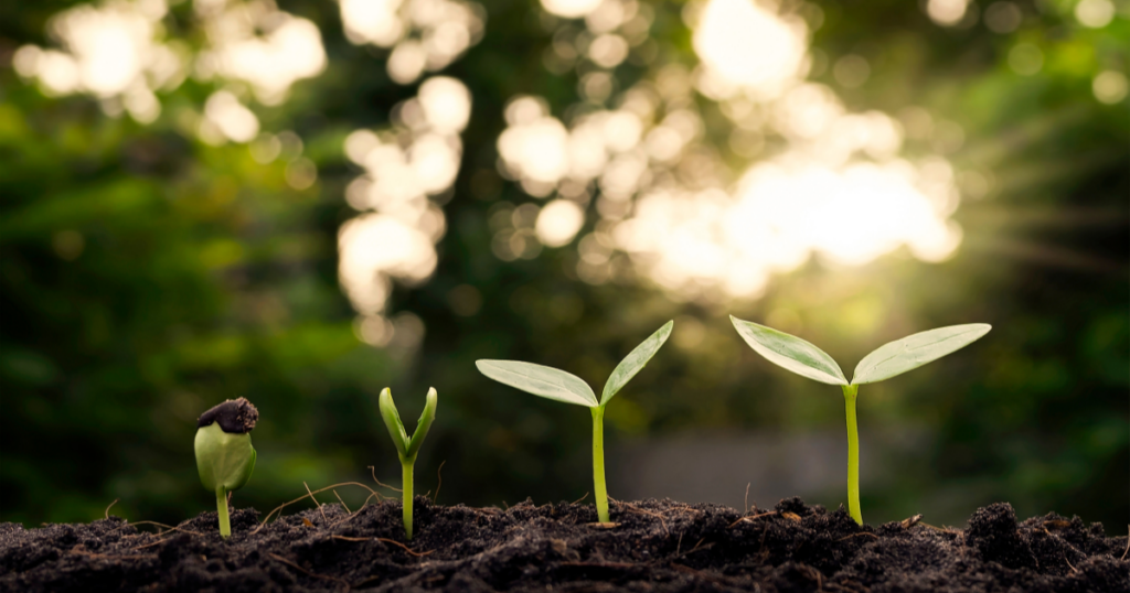 Cultivating a Healthy Future
