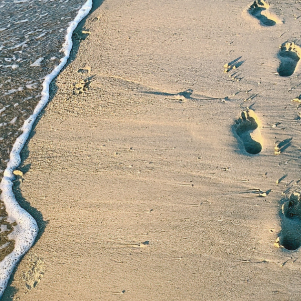In His Steps