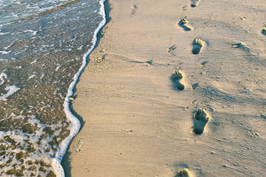 In His Steps
