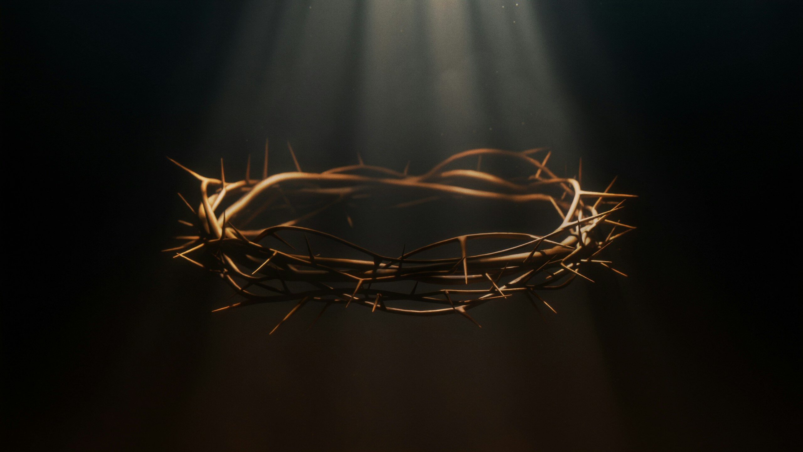 A crown of thorns illuminated by a single beam of light from above
