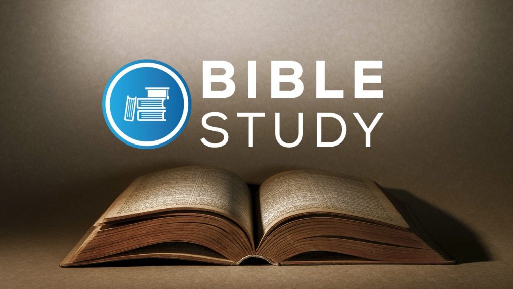 Daily Bible Studies